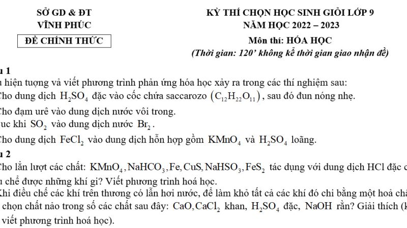 File Word đề thi HSG Hoá 9 Tỉnh Vĩnh Phúc – Năm học 2022 – 2023