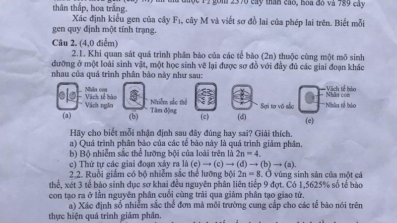 File word đề thi HSG Sinh 9 Tỉnh Quảng Ngãi – năm học 2022 – 2023
