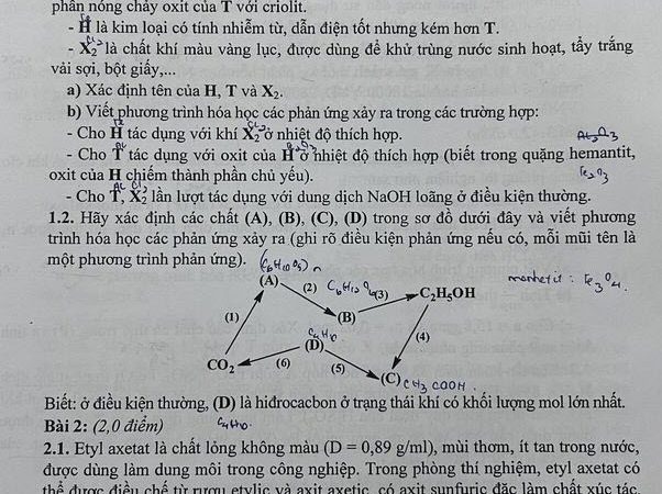 File word Đề thi vào 10 Chuyên Hóa Tiền Giang – Năm học 2023 – 2024