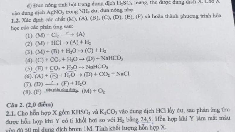 File word Đề thi vào 10 Chuyên Hóa Bình Thuận – Năm học 2023 – 2024